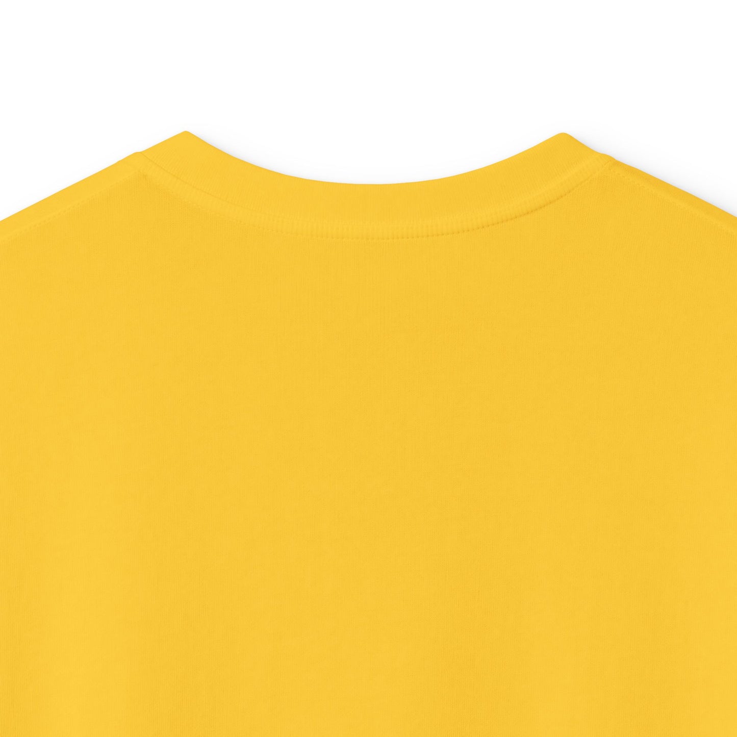 Kids Teddy | Everyday Aim to Succeed |Graphic Tee